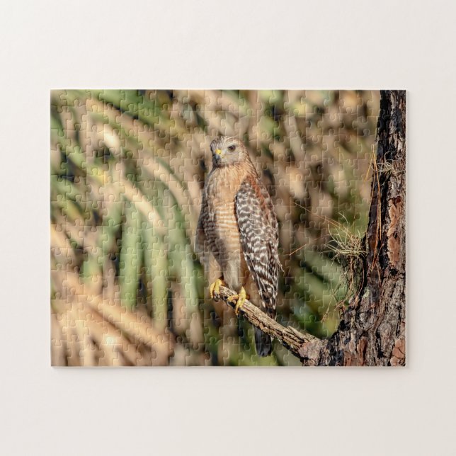Red Shouldered Hawk in a tree Jigsaw Puzzle (Horizontal)