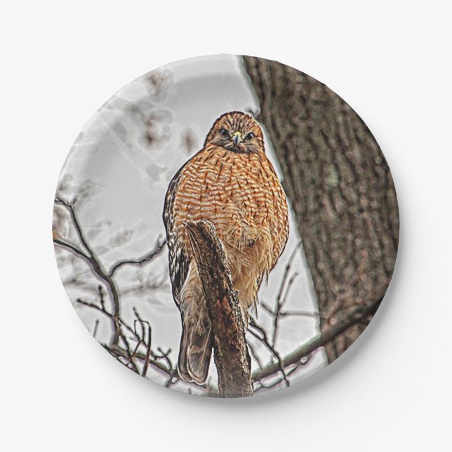 Red Shouldered Hawk in a tree Paper Plates (Front)