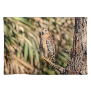 Red Shouldered Hawk in a tree Placemat