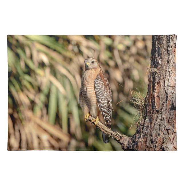 Red Shouldered Hawk in a tree Placemat (Front)