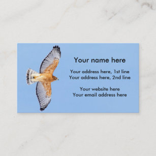 Red Shouldered Hawk in flight Business Card