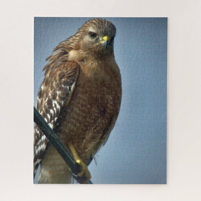 Red-shouldered Hawk Jigsaw Puzzle (Vertical)