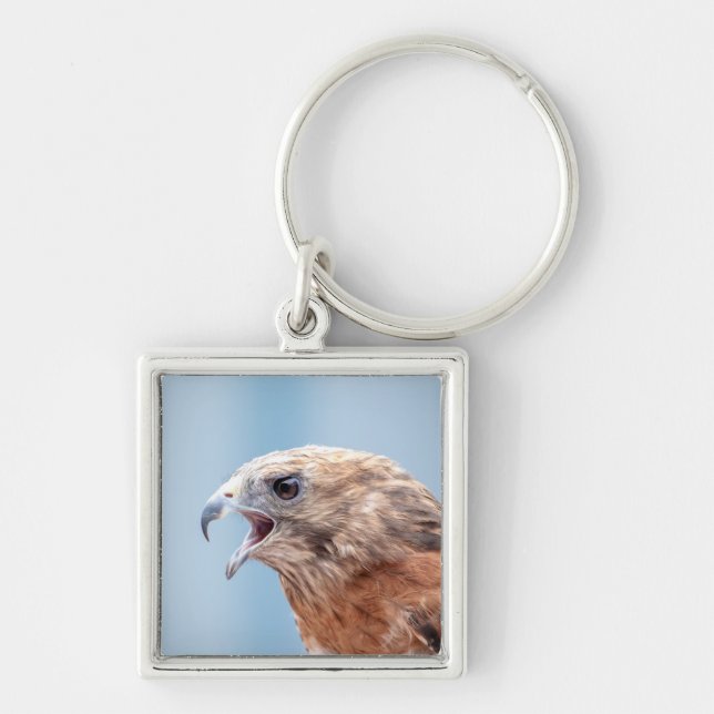 Red Shouldered Hawk Keychain (Front)