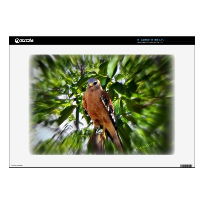 Red Shouldered Hawk Laptop Decals