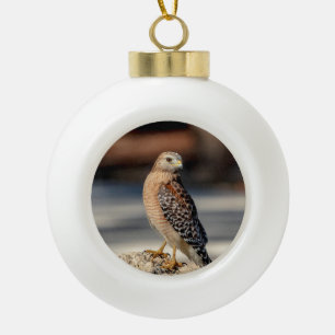 Red Shouldered Hawk on a rock Ceramic Ball Christmas Ornament
