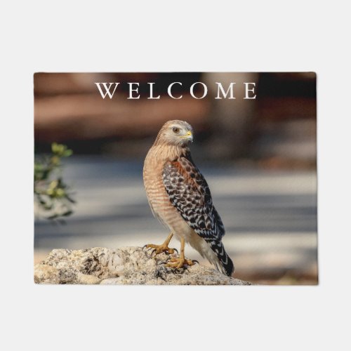 Red Shouldered Hawk on a rock Doormat