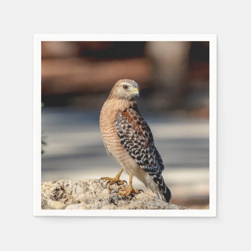 Red Shouldered Hawk on a rock Napkins