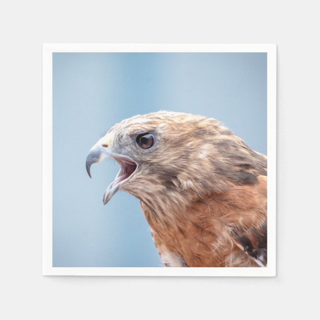 Red Shouldered Hawk on a rock Napkins (Front)