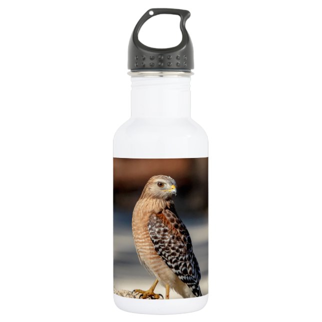 Red Shouldered Hawk on a rock Water Bottle (Front)