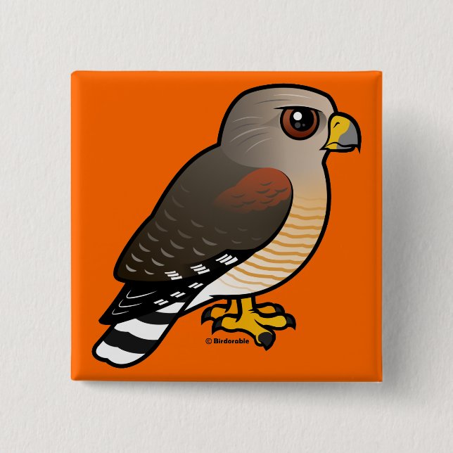 Red-shouldered Hawk Pinback Button (Front)