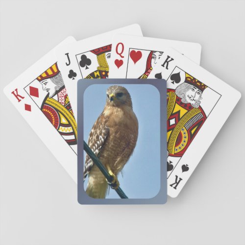 Red_shouldered Hawk Playing Cards