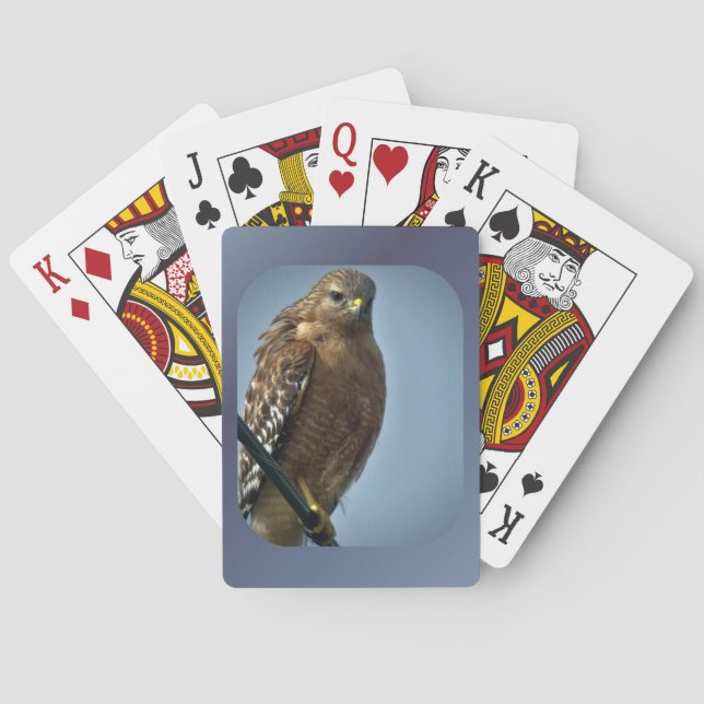 Red-shouldered Hawk Poker Cards (Back)