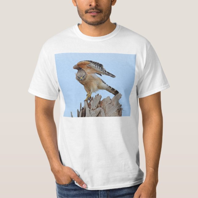 Red Shouldered Hawk T-Shirt (Front)