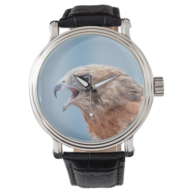 Red Shouldered Hawk Watch (Front)