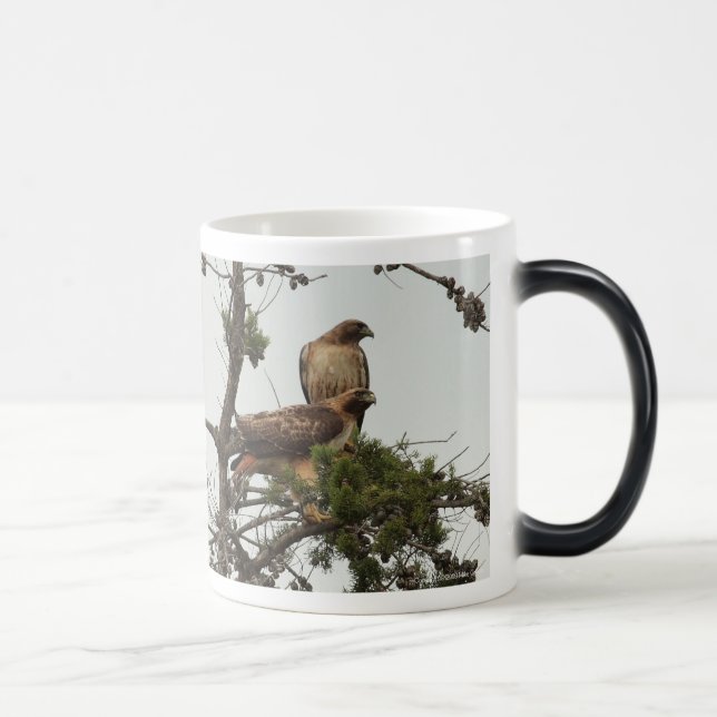 Red-shouldered Hawks Mug (Right)