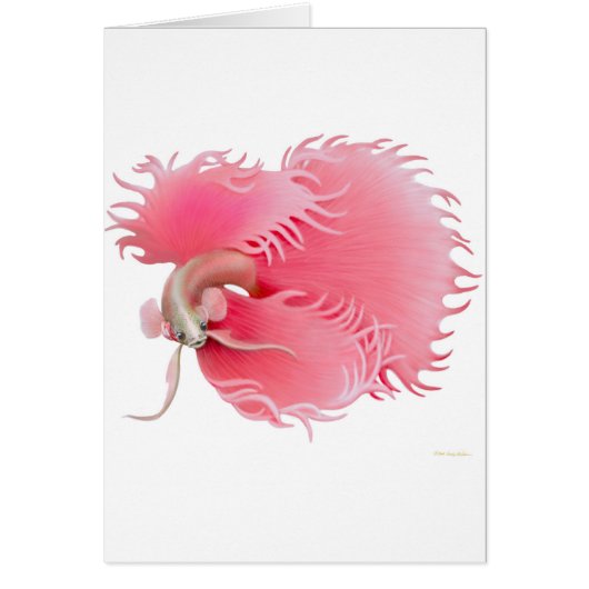 Red Siamese Fighting Fish Card (Front)