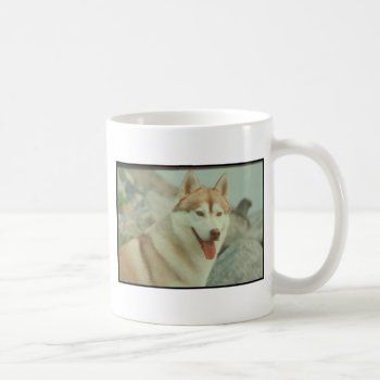 Red Siberian Husky Coffee Mug by walkandbark at Zazzle