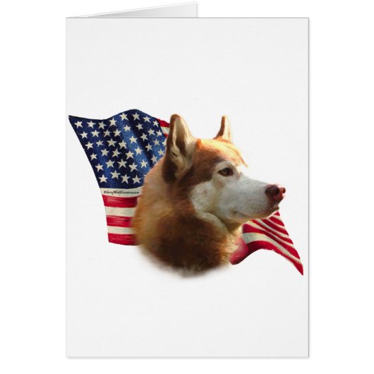 Red Siberian Husky Flag Cards (Front)