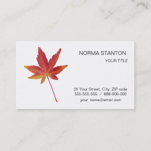 Red single autumn leaf business card
