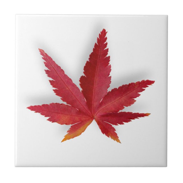 Red single autumn leaf ceramic tile (Front)