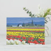 Red Skagit Valley, Mount Rainier, Washington, USA (Standing Front)