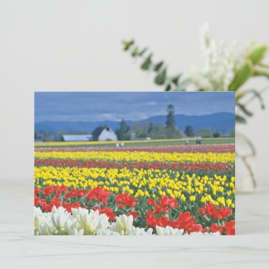 Red Skagit Valley, Mount Rainier, Washington, USA (Standing Front)