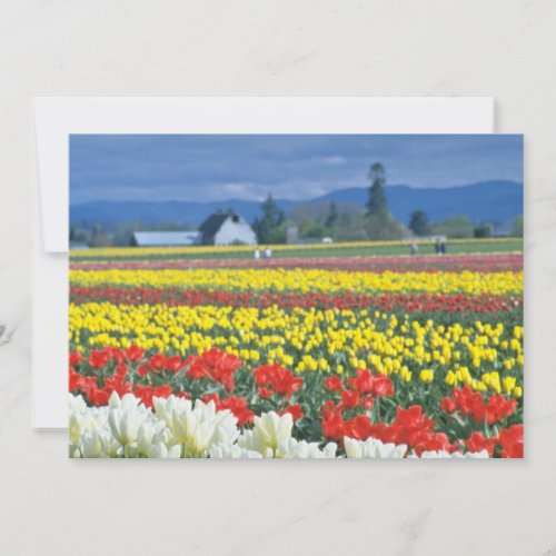 Red Skagit Valley, Mount Rainier, Washington, USA Invite