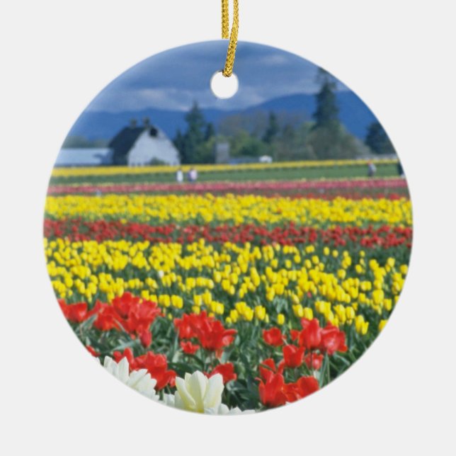 Red Skagit Valley, Mount Rainier, Washington, USA Ceramic Ornament (Front)