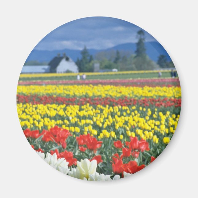 Red Skagit Valley, Mount Rainier, Washington, USA Magnet (Front)