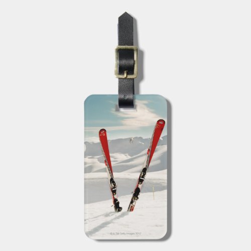 Red Skis Luggage Tag