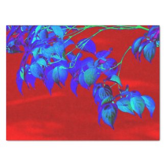 Red Sky Blue Leaves 