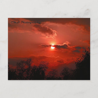 Red Sky Postcard