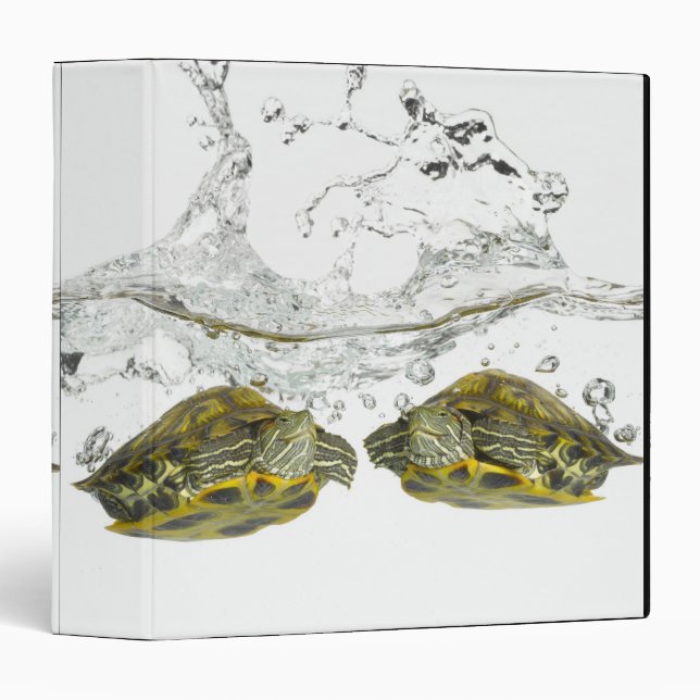 Red slider turtles binder (Front/Spine)