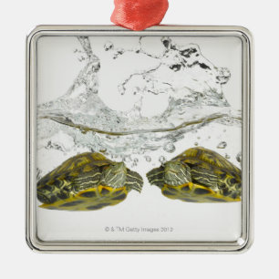 Red slider turtles metal ornament