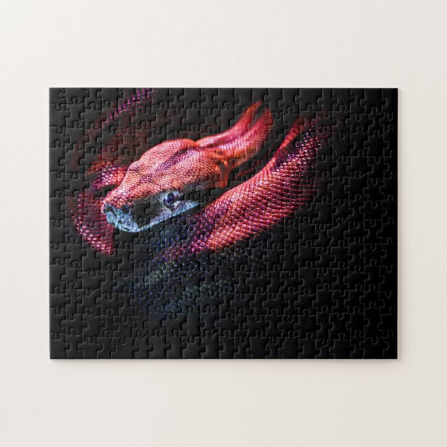 Red Snake on Black - HD Photo Puzzle (Horizontal)