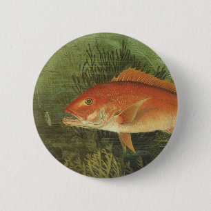 Red Snapper Fish in the Ocean, Vintage Marine Life Button