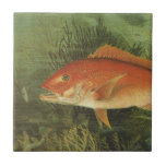 Red Snapper Fish in the Ocean, Vintage Marine Life Ceramic Tile