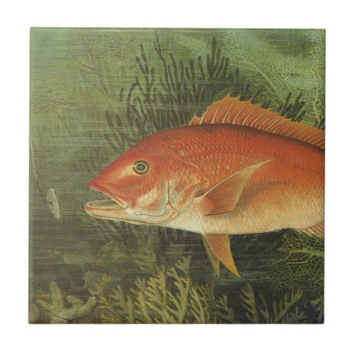 Red Snapper Fish in the Ocean Vintage Marine Life Ceramic Tile