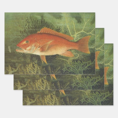 Red Snapper Fish in the Ocean Vintage Marine Life Wrapping Paper Sheets