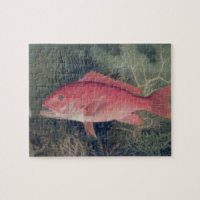 Red Snapper, from 'Game Fishes of the United State Jigsaw Puzzle (Horizontal)