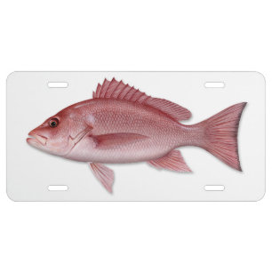 Red Snapper License Plate