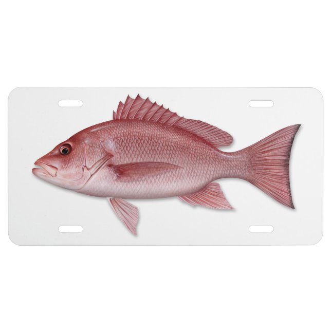 Red Snapper License Plate (Front)