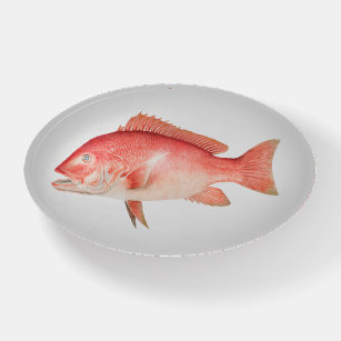 Red Snapper Saltwater Fish Paperweight