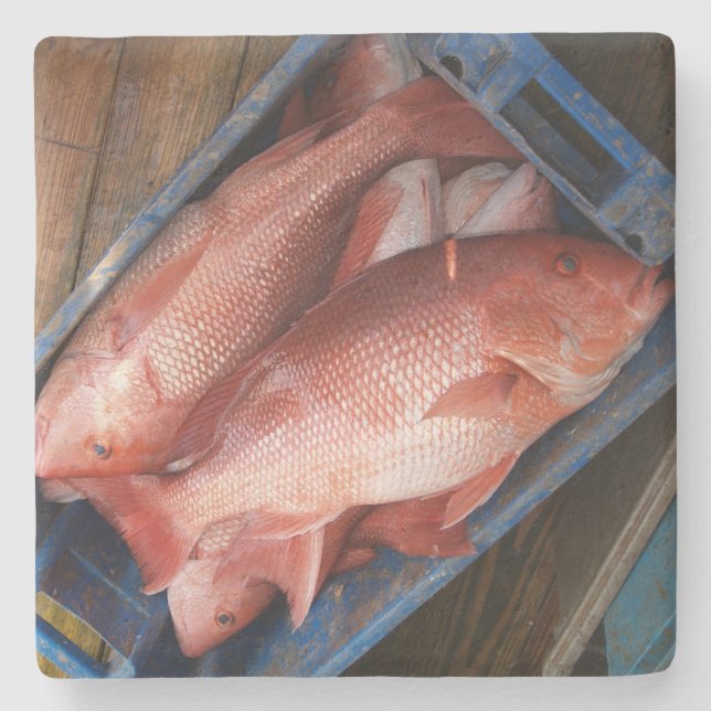 Red Snapper Square coaster (Front)