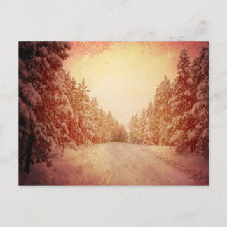 Red Snowy Road, Conifer, CO Postcard