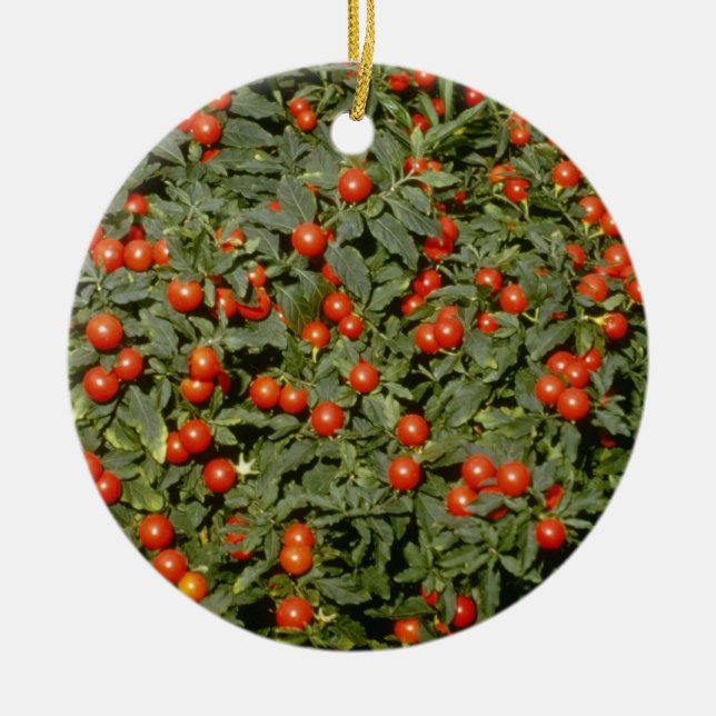 Red Solanum Pseudocapsicum (Jerusalem Cherry) flow Ceramic Ornament (Front)