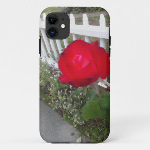 Red Solo Rose iPhone 11 Case