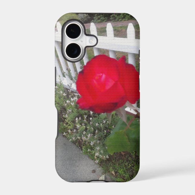 Red Solo Rose Iphone Case (Back)