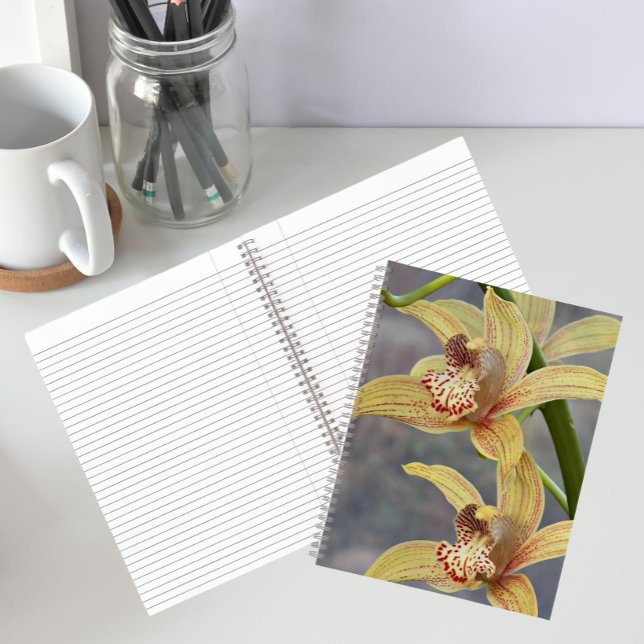 Red Speckled Cymbidium Orchids Floral Notebook (In Situ)