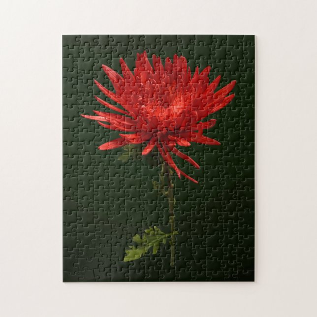 Red Spider Mum Jigsaw Puzzle (Vertical)